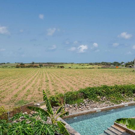 T2 Moderne Avec Piscine Oasis De Nature Et Serenite Petit-Canal Exteriér fotografie