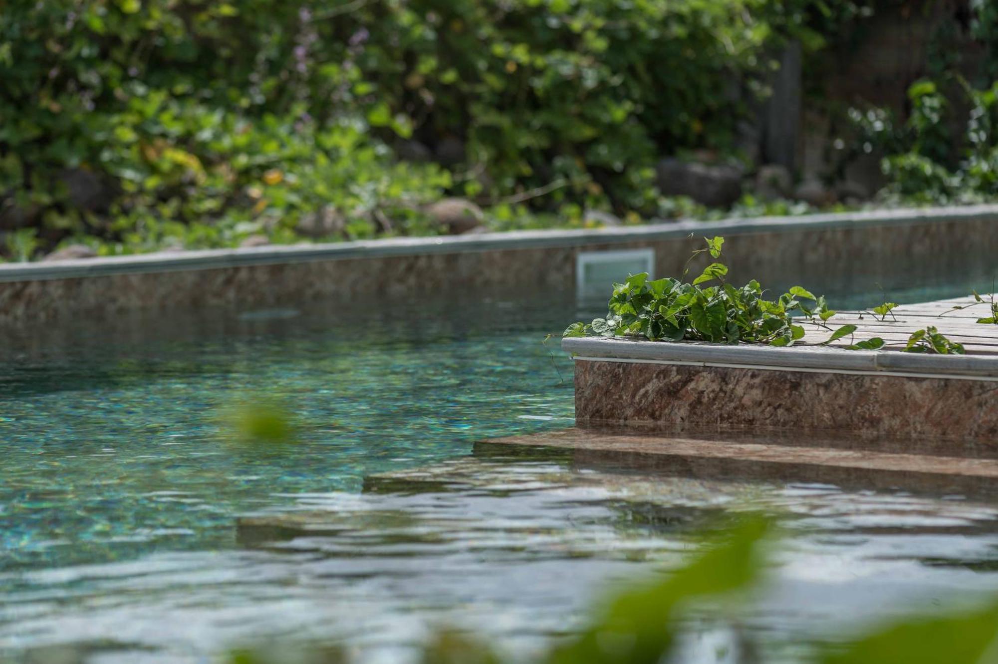 T2 Moderne Avec Piscine Oasis De Nature Et Serenite Petit-Canal Exteriér fotografie